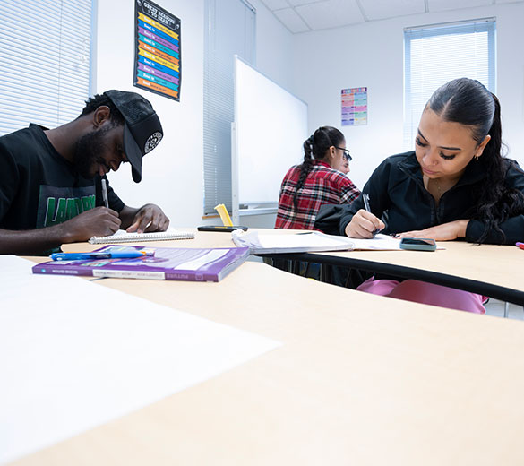 two students studying in class